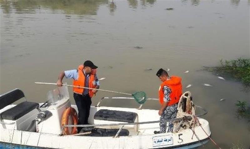 بالصور.. رصد أسماك نافقة في نهر الغراف بمحافظة ذي قار