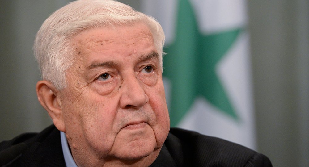 المعلم يبحث مع جابري أنصاري تعزيز التعاون السوري الإيراني