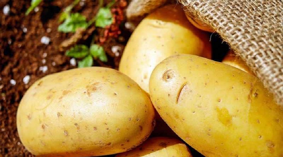 المشكلة ليست في البطاطس إنها في طرق التحضير 