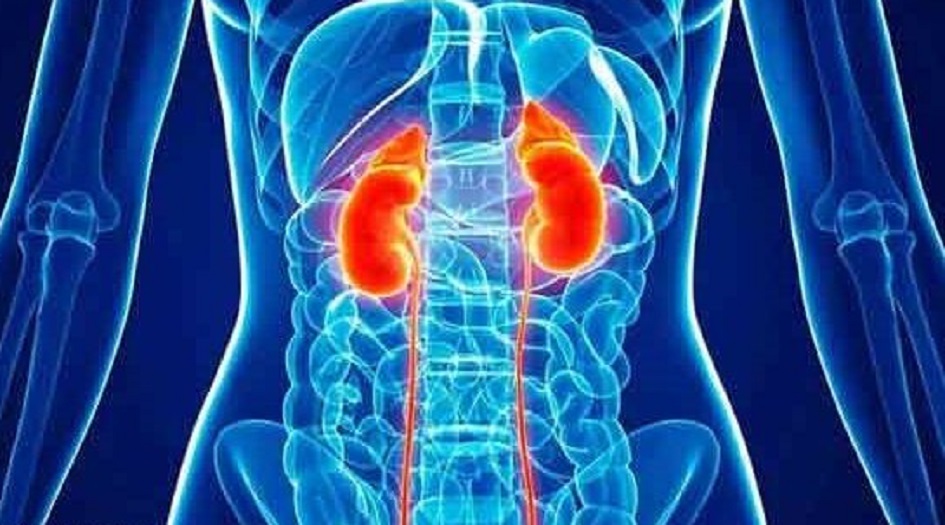 ماذا يحدث لجسمك عندما تحبس البول