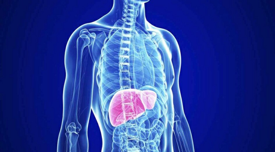 طريقة منزلية بسيطة لتخليص الكبد من السموم