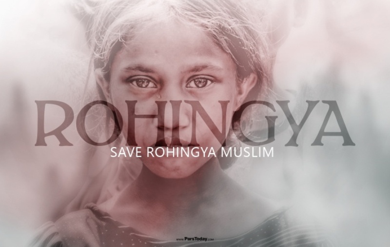 "انا روهينغائي" في المهرجان الدولي لافلام المقاومة