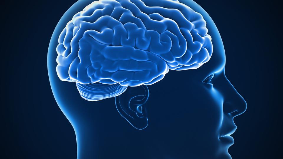 هكذا يستطيع مخ الإنسان التنبؤ بالمستقبل!