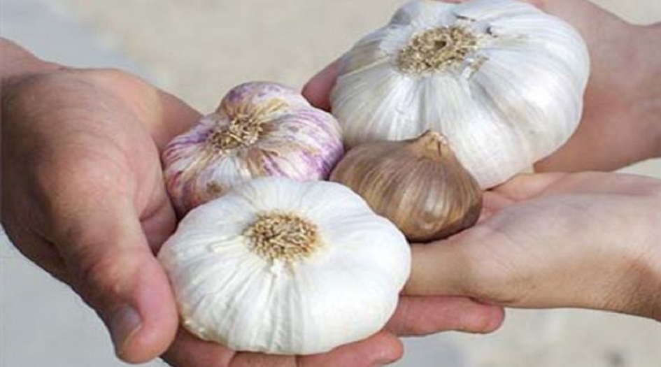 رغم كل ما يقال عنه.. أضرار يسببها الثوم لجسم الإنسان 
