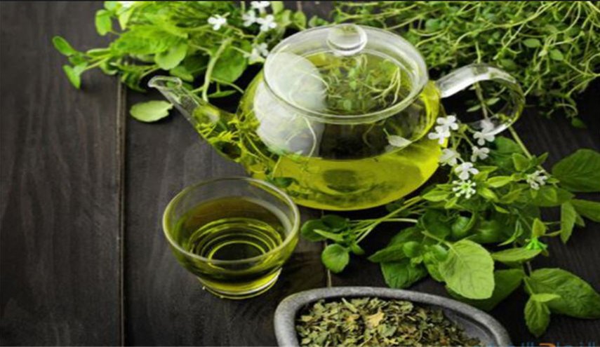 الشاي الأخضر مفيد للعظام!