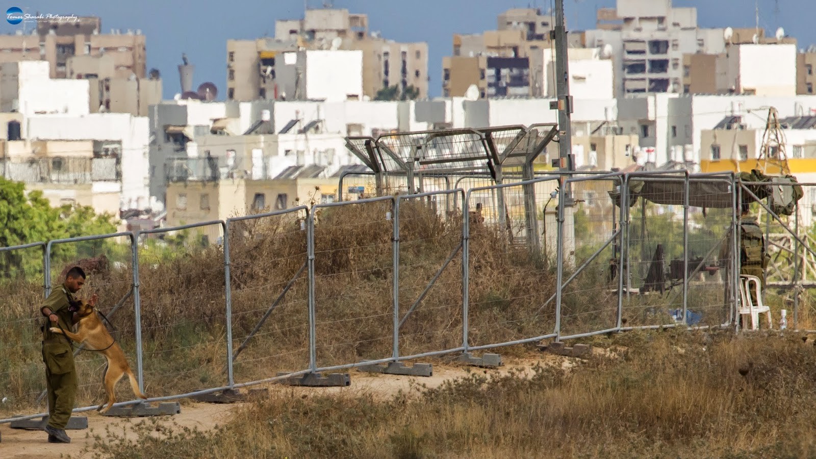 مقال بفورين بوليسي: الأميركيون أكثر انتقادا لسياسات إلاحتلال الاسرائيلي