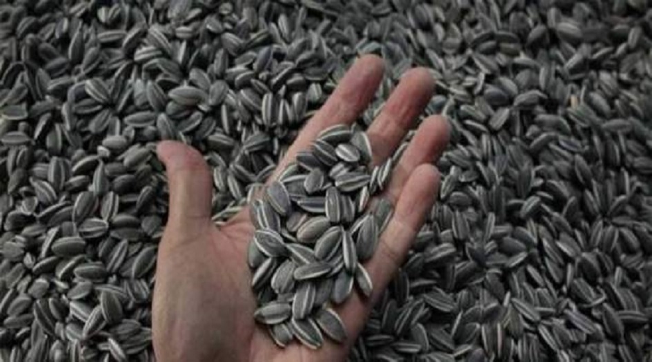 6 بذور لا غنى لأجسامنا عنها...تقلّل الوزن وتُكافح السرطان؟!