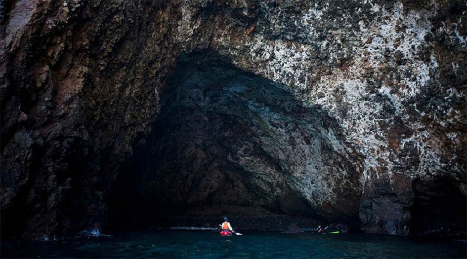 علماء يكتشفون حياة كاملة تحت سطح الأرض