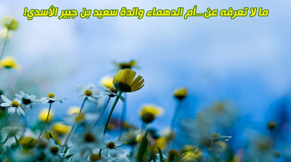 ما لا تعرفه عن...أم الدهماء والدة سعيد بن جبير الأسدي!