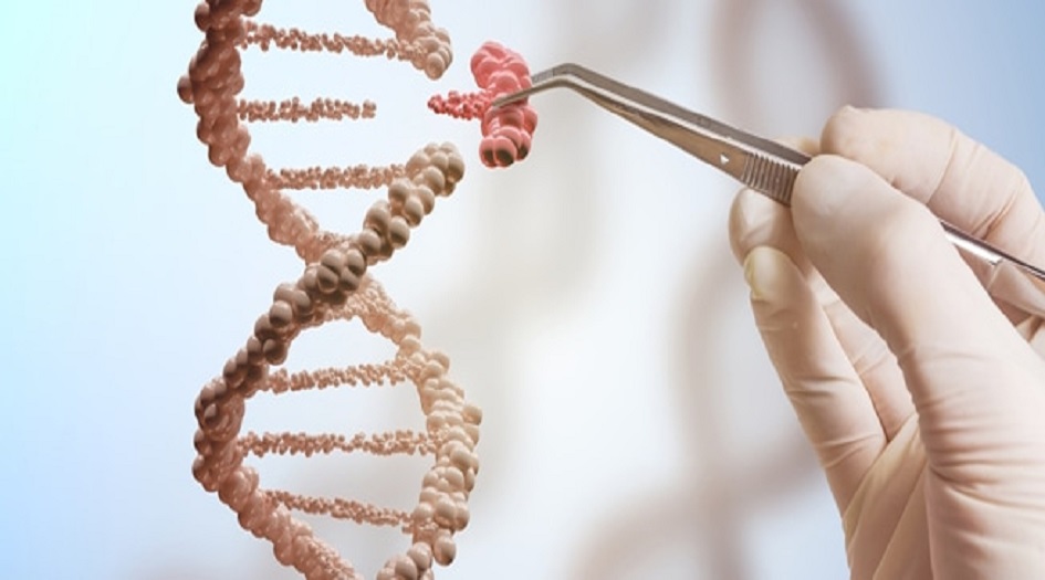 هذه النبتة تحمي من السرطان