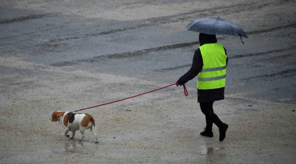 احتجاجات "السترات الصفراء" تمتد إلى فنلندا