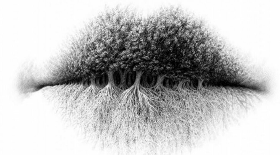 ما ترونه أولاً في هذه الصورة سيكشف شخصيتكم على حقيقتها