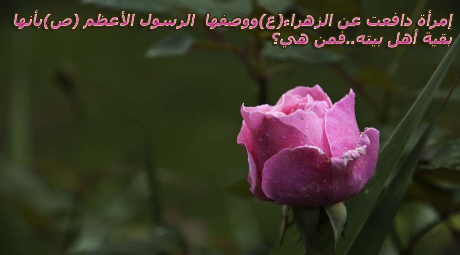 إمرأة دافعت عن الزهراء(ع)ووصفها الرسول الأعظم(ص)بأنها بقية أهل بيته..فمن هي؟