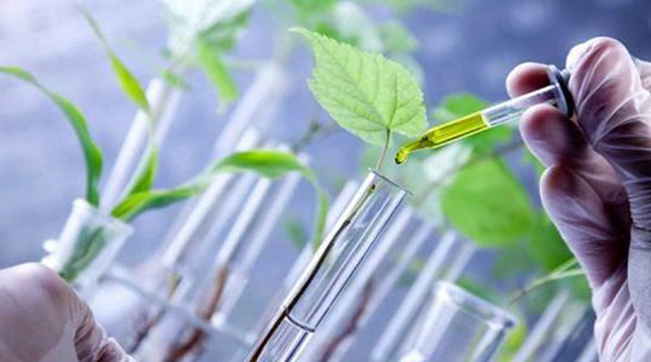 ايران الأولى في أبحاث علوم الحياة