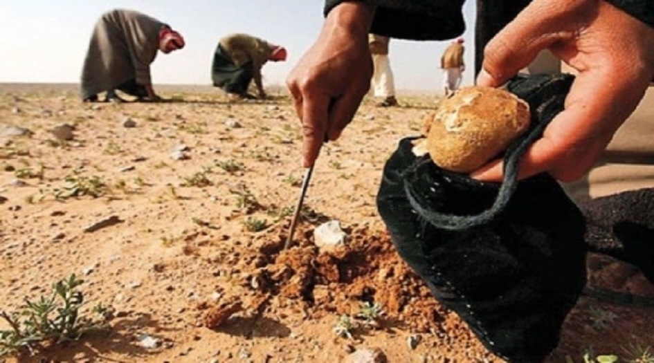 بالصور.. فاكهة الصحراء تنتعش في الأسواق العراقية.. وهذه فوائدها