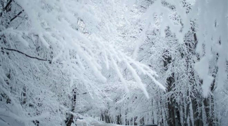 العاصفة الثلجية تقترب.. الثلج على الـ 700 متر