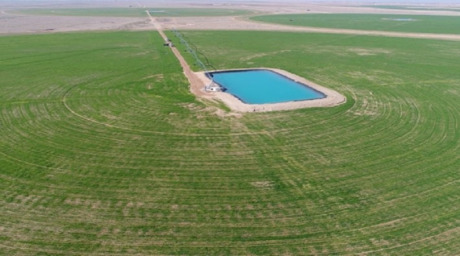 بالصور..{مزارع الساقي} تحول رمال كربلاء لواحات خضراء