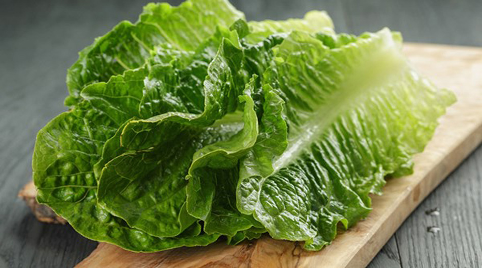 فوائد لا تعد ولا تحصى للخس.. تعرف عليها
