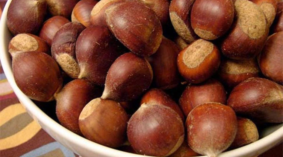 تعرف على فوائد الكستناء الصحية