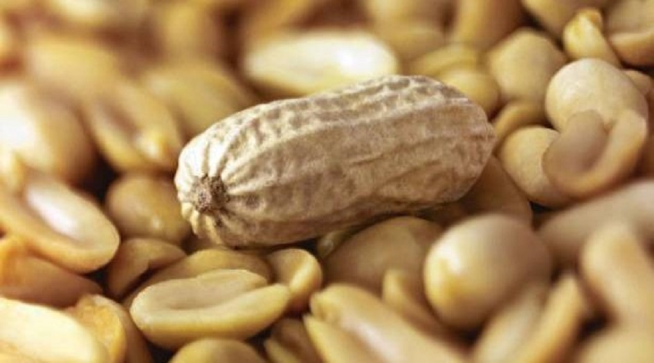 فوائد لا تعد ولا تُحصى للفول السوداني! تعرفوا عليها