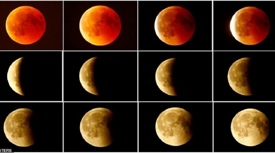 شاهد بالصور...