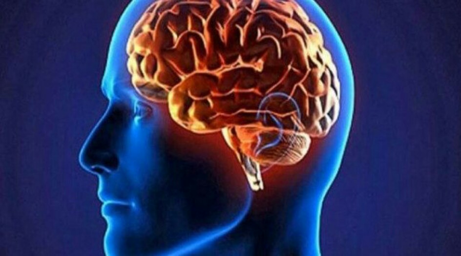 الدماغ قد يأكل نفسه إذا فعلتم هذا .. لن أفعلها أبداً في حياتي !