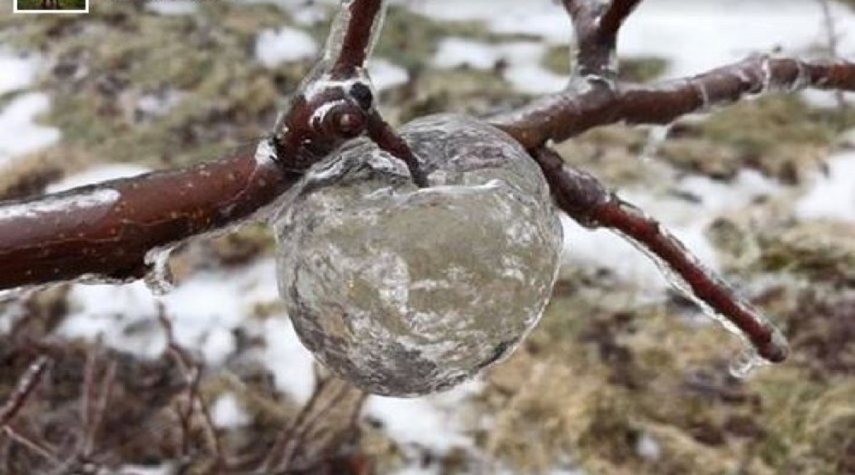 شاهد.. ظاهرة غريبة 