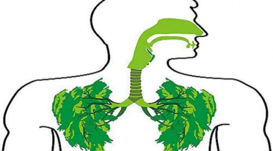 أعشاب تطهر الرئتين من السموم وتعالج كل مشاكل الجهاز التنفّسي