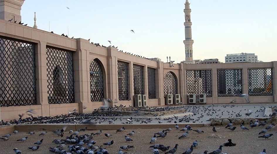 في ذكرى وفاتها.. لمحة عن حياة السيدة فاطمة بنت حزام الكلابية