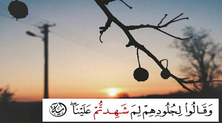 شهادة أعضاء الإنسان عليه