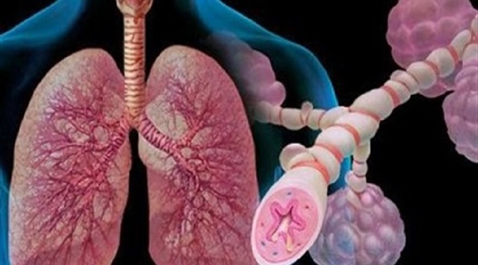 اليكم هذه الاعشاب التي تطهر الرئتين من السموم وتعالج أصعب المشاكل الهضمية