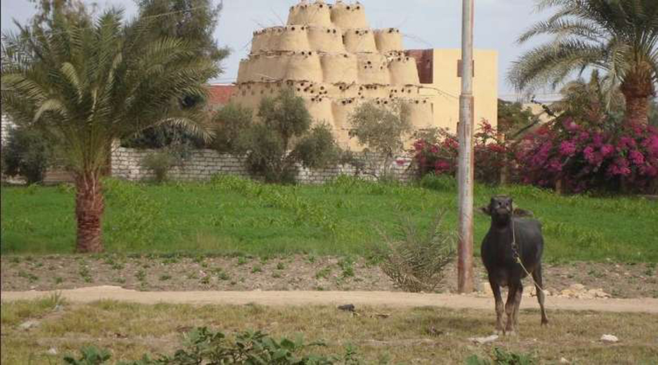 صعيد مصر يهب لإنقاذ ابنة لاجئ سوري