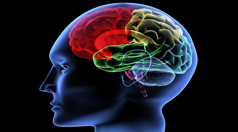 هذا هو... سن البلوغ الحقيقي!