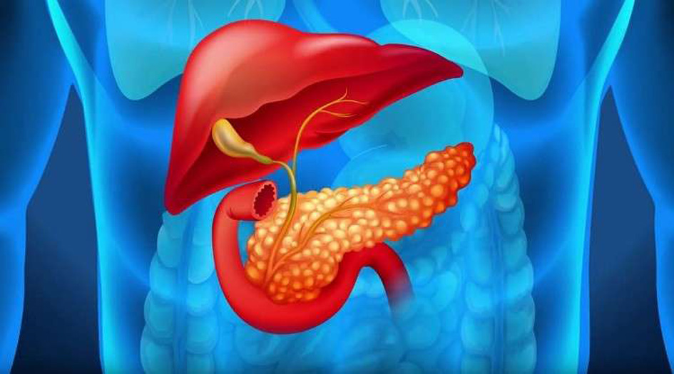 بنكرياس صناعي لإنسولين المرضى ومحرك الطائرات!