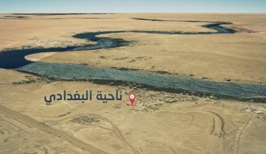 شاهد بالصور.. خنافس سوداء تهاجم البغدادي في العراق