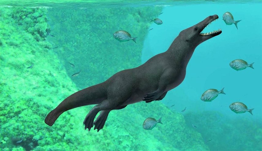 اكتشاف حفرية حوت بأربعة أرجل عاش قبل 43 مليون سنة
