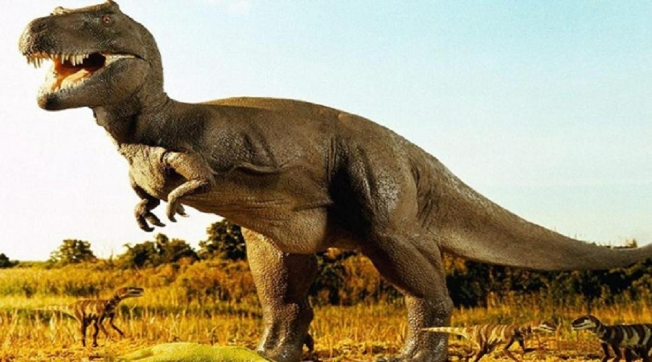 ديناصور في الطريق إلى باريس!!