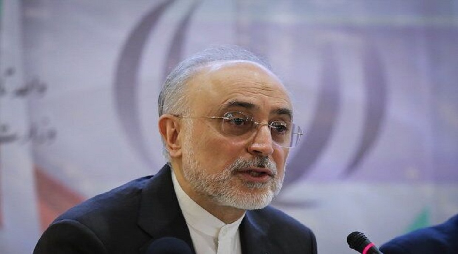 صالحي: نتابع تحقيق الأهداف الرئيسية للصناعة النووية بوتيرة متسارعة