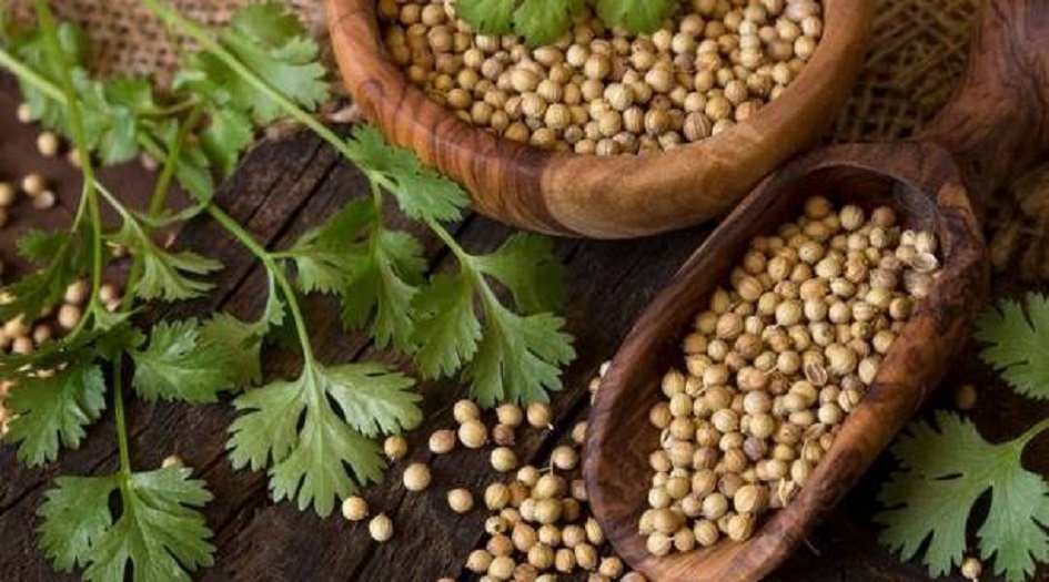 عنصر فعال في محاربة هذا المرض الخطير!