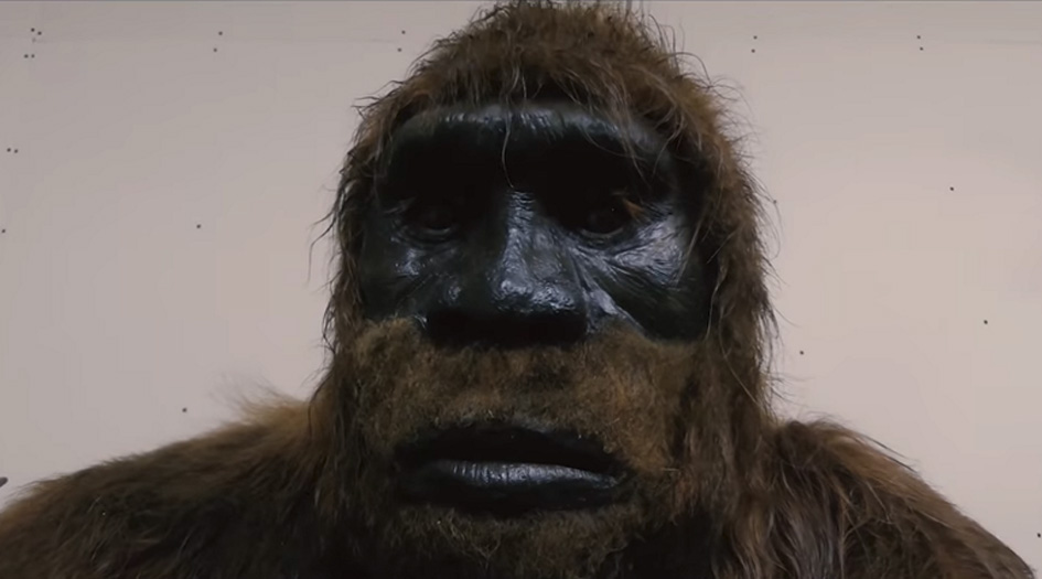 بالصور... الجيش الهندي ينشر صور "كائن عملاق ومرعب"!