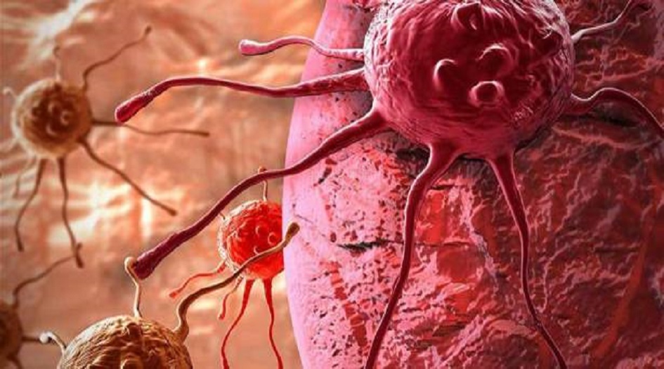 طريقة للحماية من أمراض القلب والسرطان.. ما هي؟