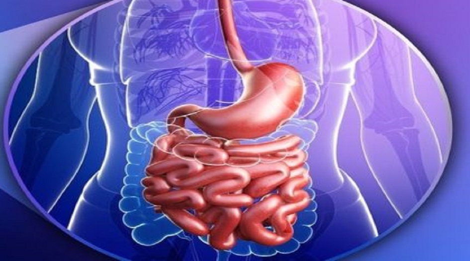 التغييرات التي تحدث للجسم أثناء الصيام في رمضان