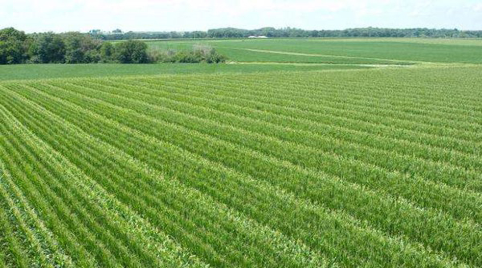 تقدم ايراني... إستخدام تقنية النانو لتنقية المياه