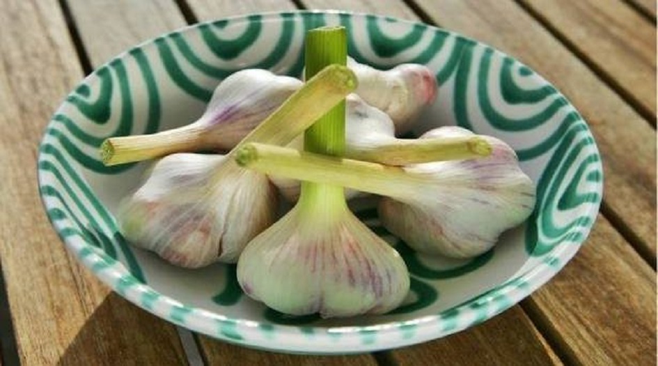 ماذا يحدث للكبد عند تناول الثوم يوميا؟