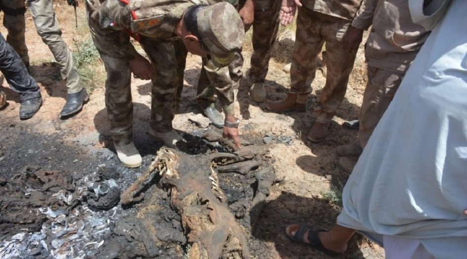 شاهد.. كارثة في العراق.. 9 جثث متفحمة لمختطفي الكمأ