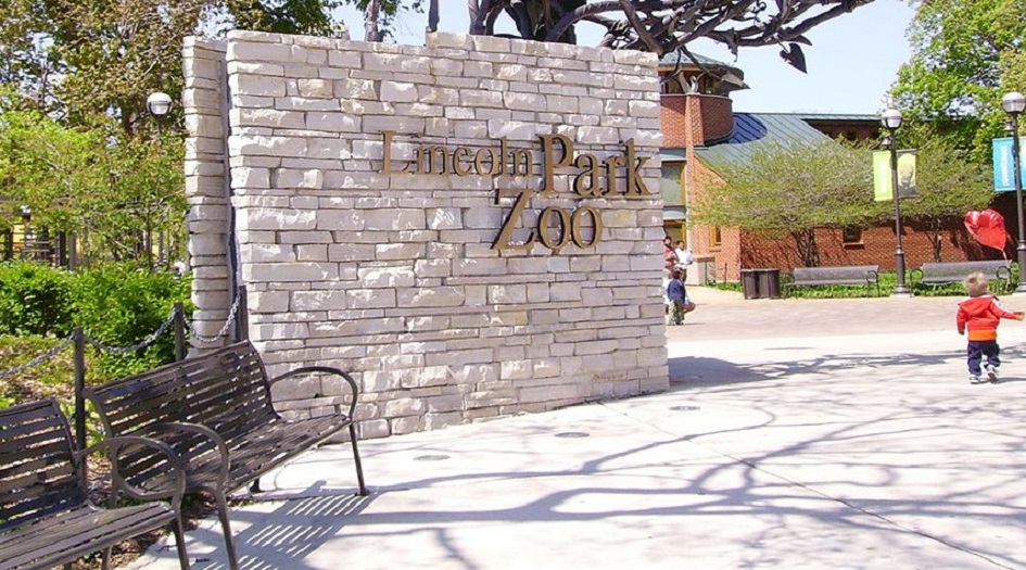 شاهد ...ولادة حيوان مهدد بالانقراض بعد انتظار طويل