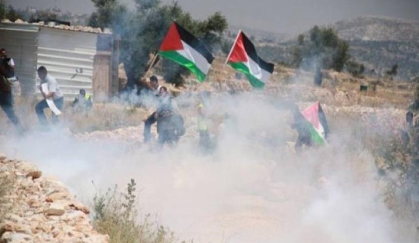 إصابات واحتراق أشجار زيتون خلال قمع الاحتلال مسيرة بلعين