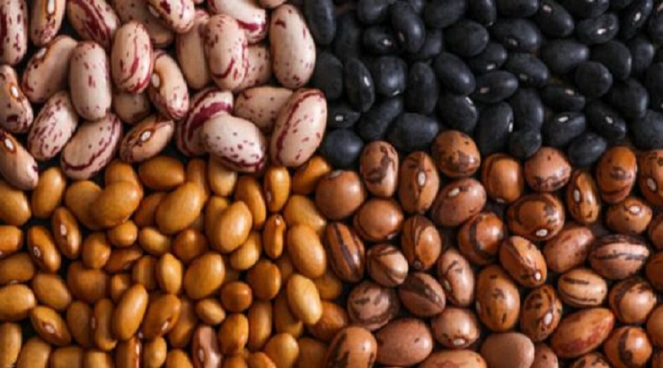 أطعمة قد تكون سامة: احذرها