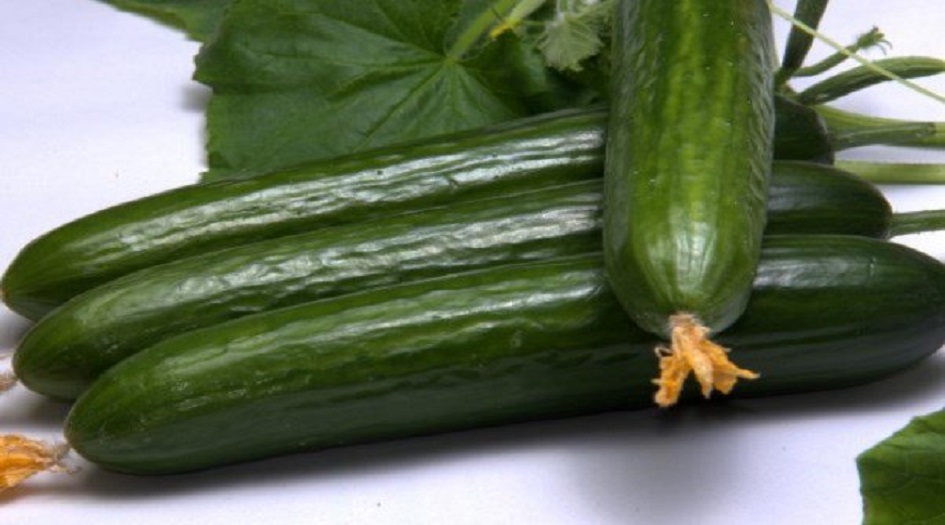 تعرّفوا على  فوائد الخيار 