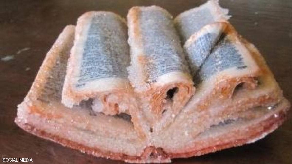 اكتشاف حقيقة الكتاب المقدس في قاع المحيط